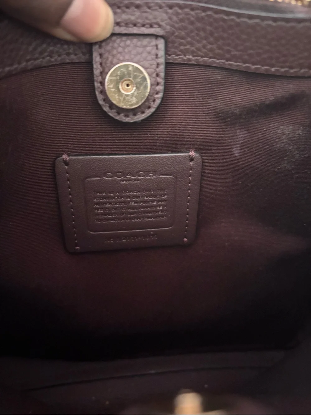 Coach classic hobo